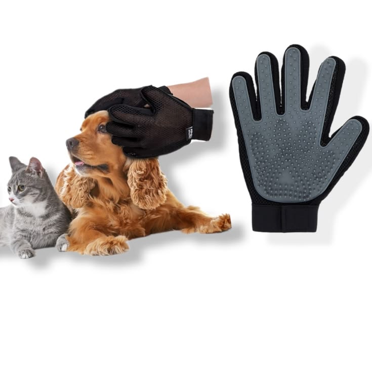 🐾 Silicone Grooming Glove for Pets | Soft Hair Remover Massage Glove ✨